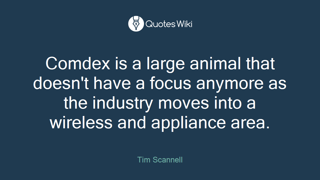Comdex is a large animal that doesn't have a focus anymore as the industry moves into a wireless and appliance area.
