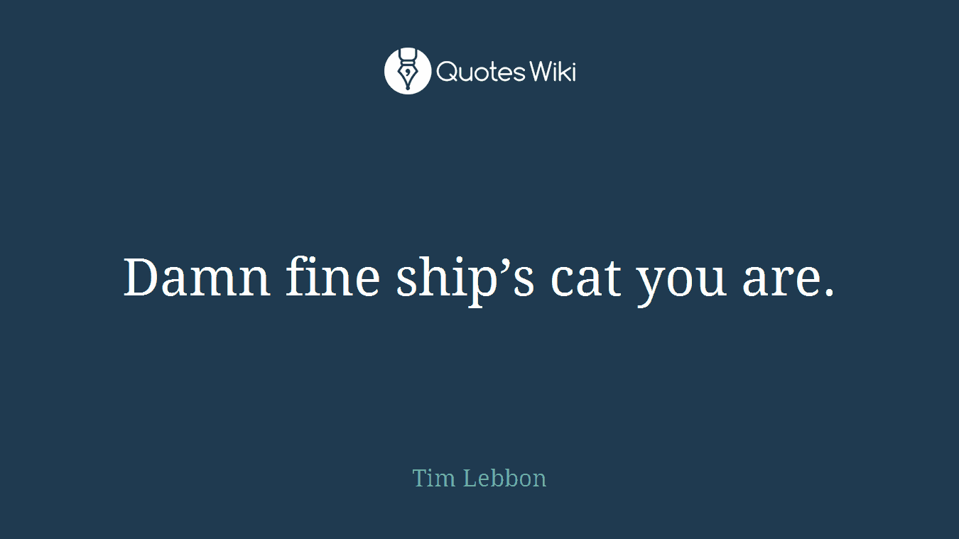 Damn fine ship’s cat you are.