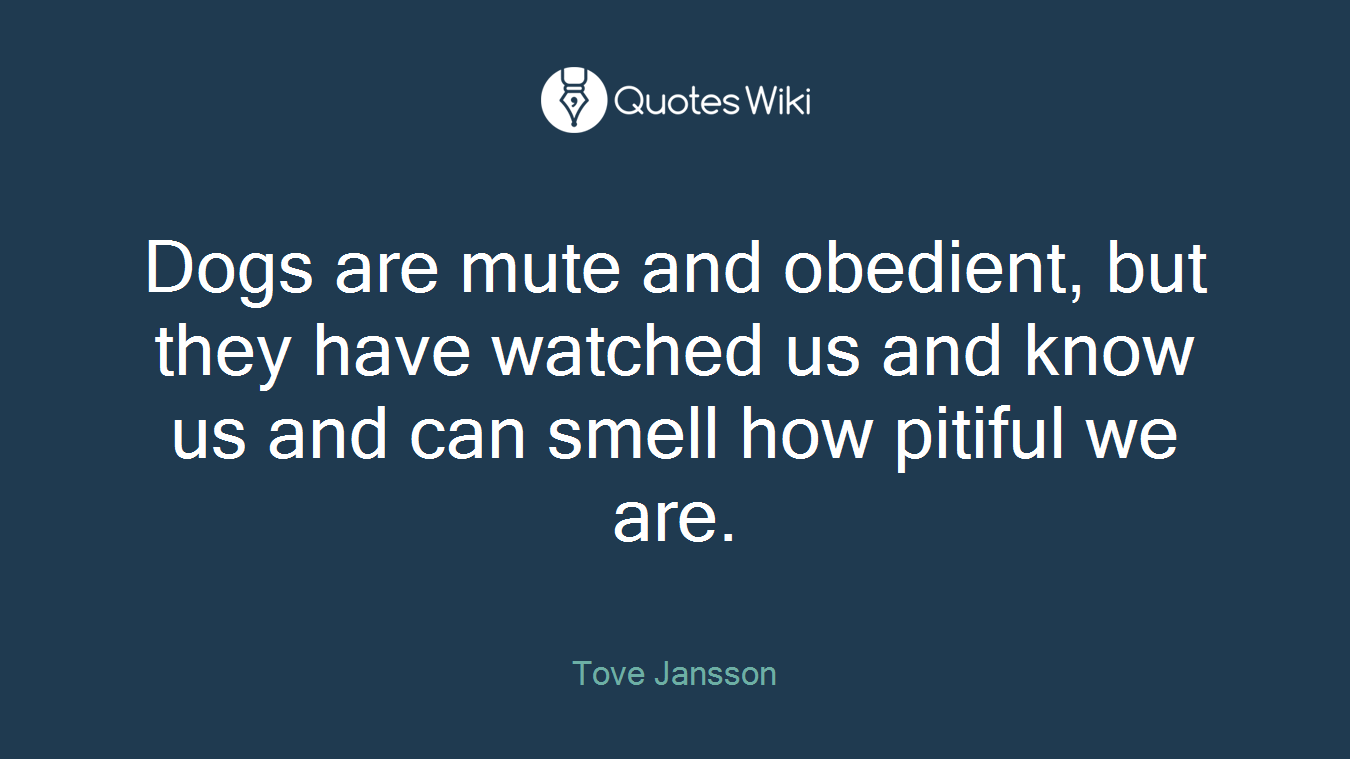 Dogs are mute and obedient, but they have watched us and know us and can smell how pitiful we are.