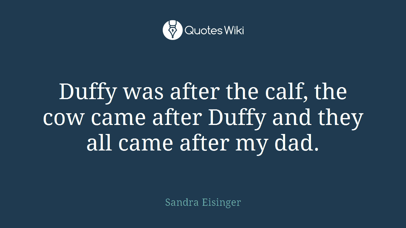 Duffy was after the calf, the cow came after Duffy and they all came after my dad.