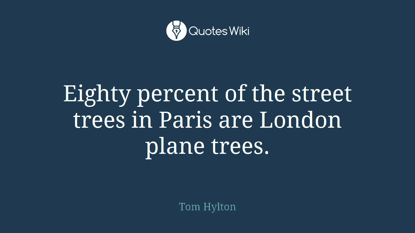 Eighty percent of the street trees in Paris are London plane trees.