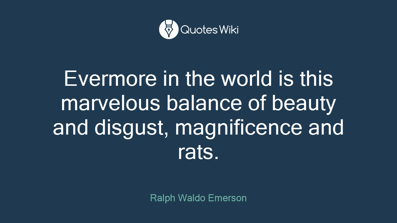 Evermore in the world is this marvelous balance of beauty and disgust, magnificence and rats.