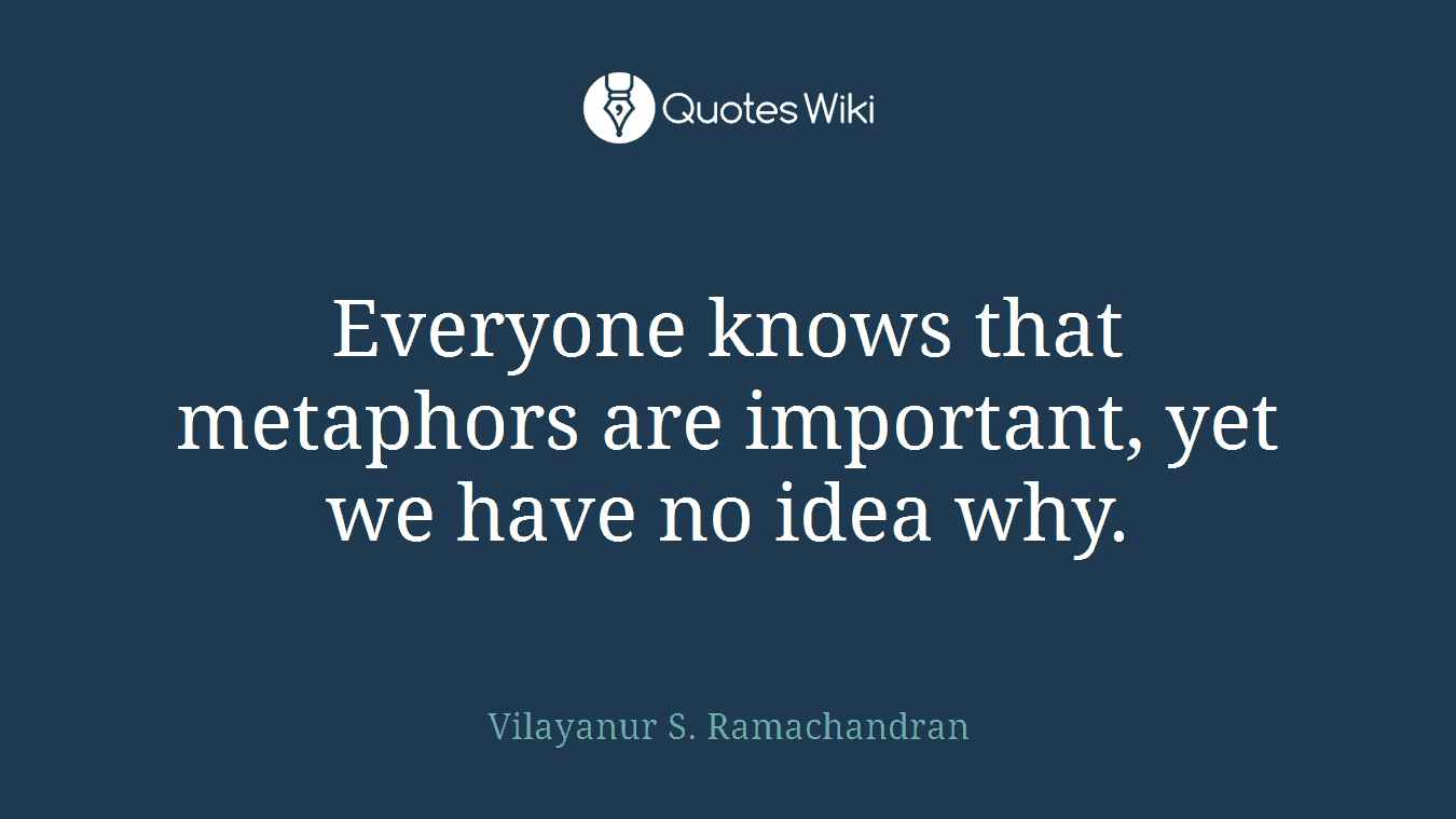 Everyone knows that metaphors are important, yet we have no idea why.