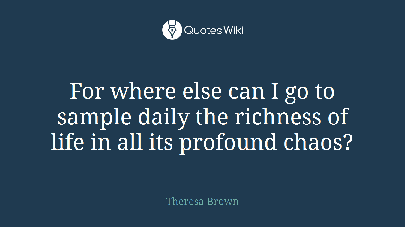 For where else can I go to sample daily the richness of life in all its profound chaos?