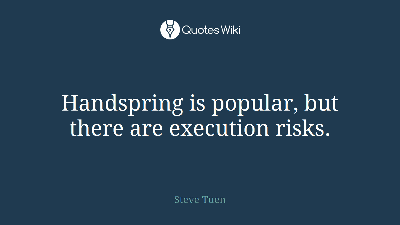 Handspring is popular, but there are execution risks.