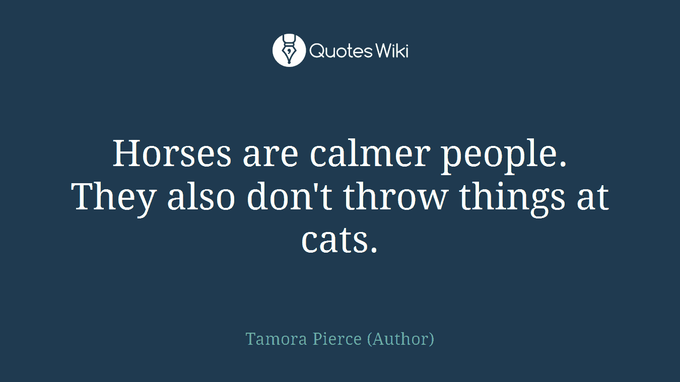 Horses are calmer people. They also don't throw things at cats.