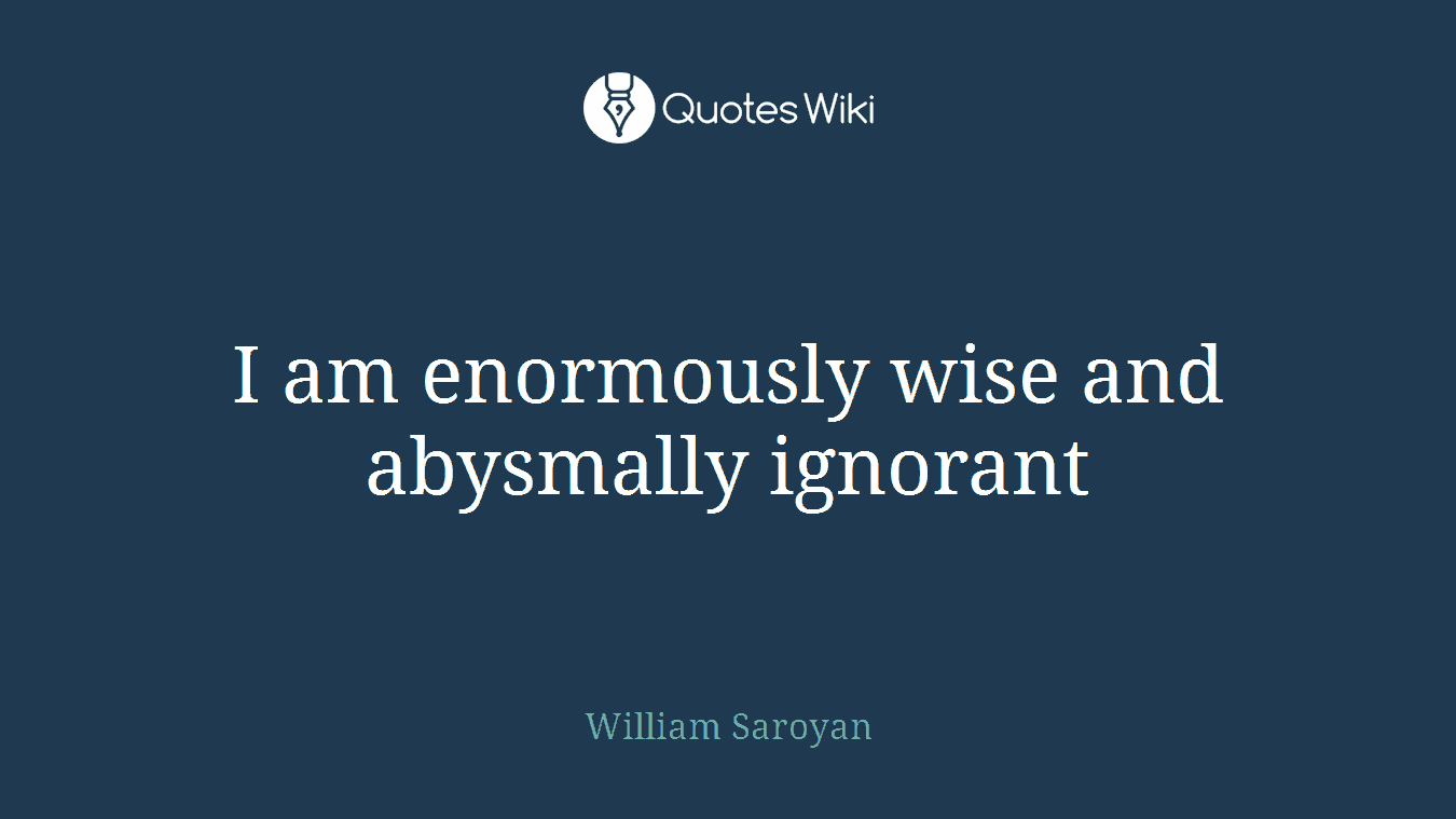 I am enormously wise and abysmally ignorant