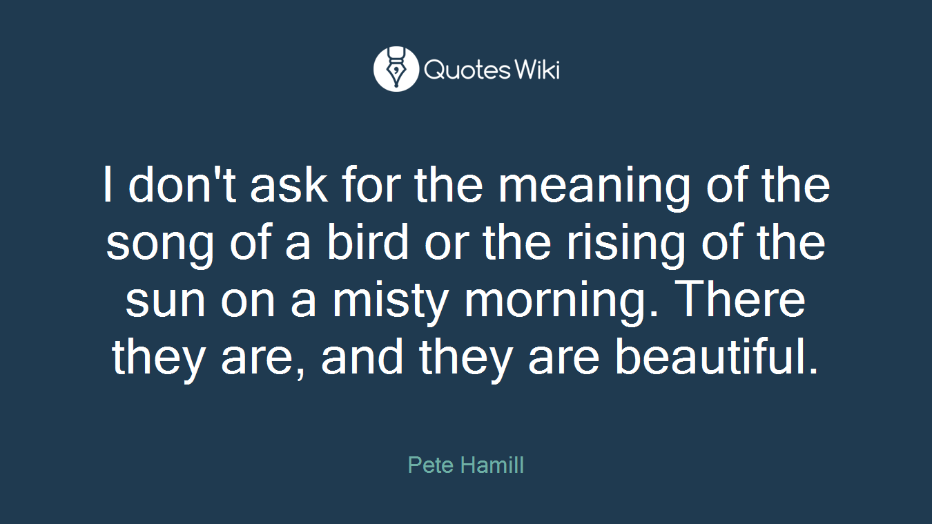 I don't ask for the meaning of the song of a bird or the rising of the sun on a misty morning. There they are, and they are beautiful.