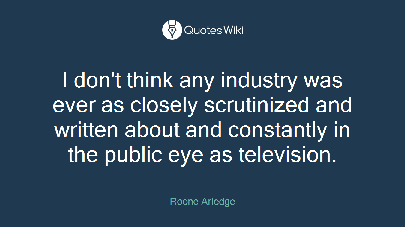 I don't think any industry was ever as closely scrutinized and written about and constantly in the public eye as television.