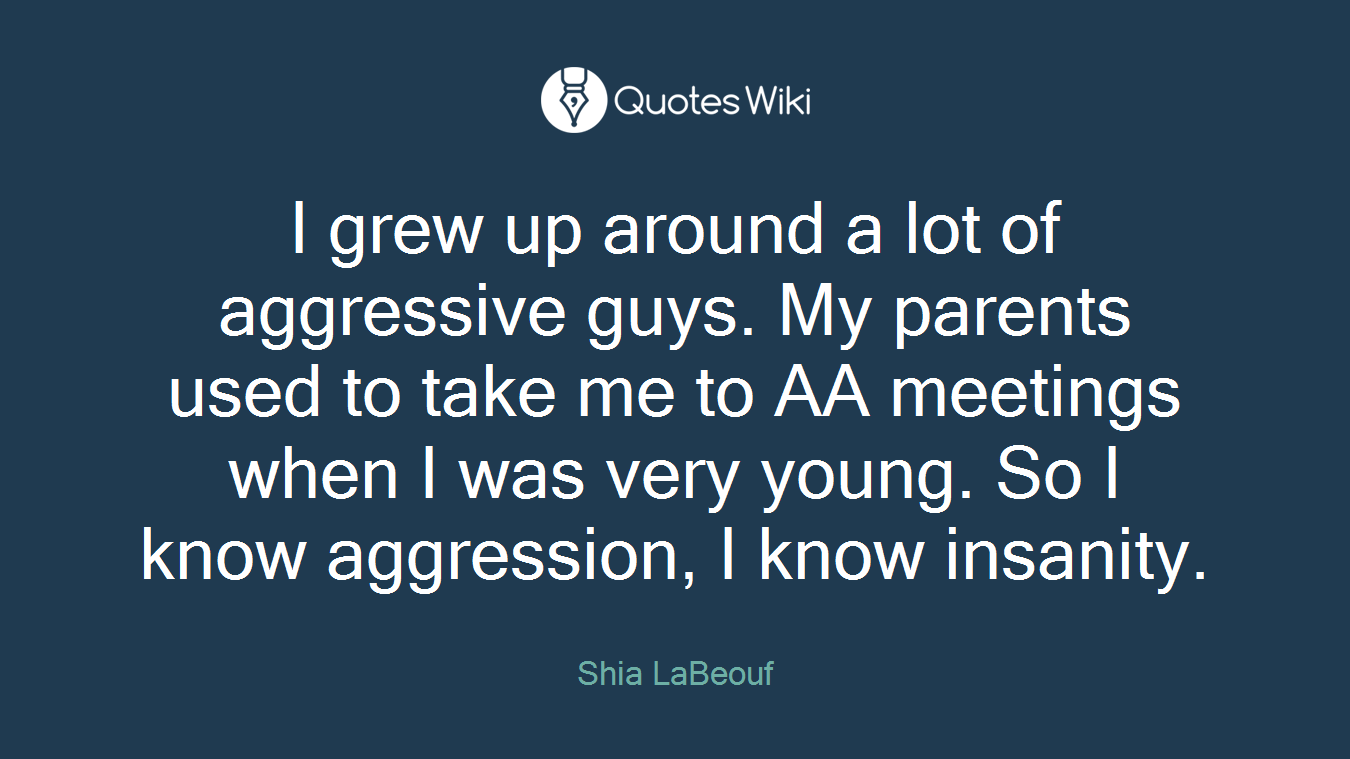 I grew up around a lot of aggressive guys. My parents used to take me to AA meetings when I was very young. So I know aggression, I know insanity.