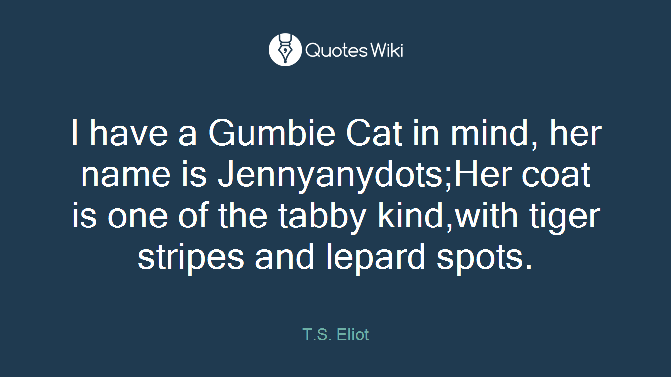 I have a Gumbie Cat in mind, her name is Jennyanydots;Her coat is one of the tabby kind,with tiger stripes and lepard spots.