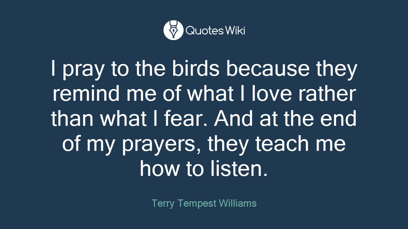 I pray to the birds because they remind me of what I love rather than what I fear. And at the end of my prayers, they teach me how to listen.