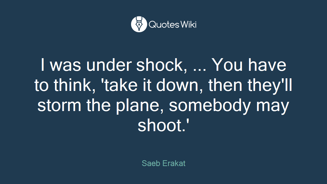 I was under shock, ... You have to think, 'take it down, then they'll storm the plane, somebody may shoot.'