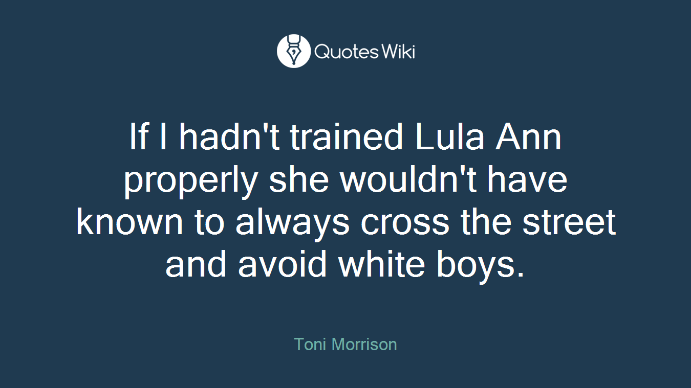 If I hadn't trained Lula Ann properly she wouldn't have known to always cross the street and avoid white boys.