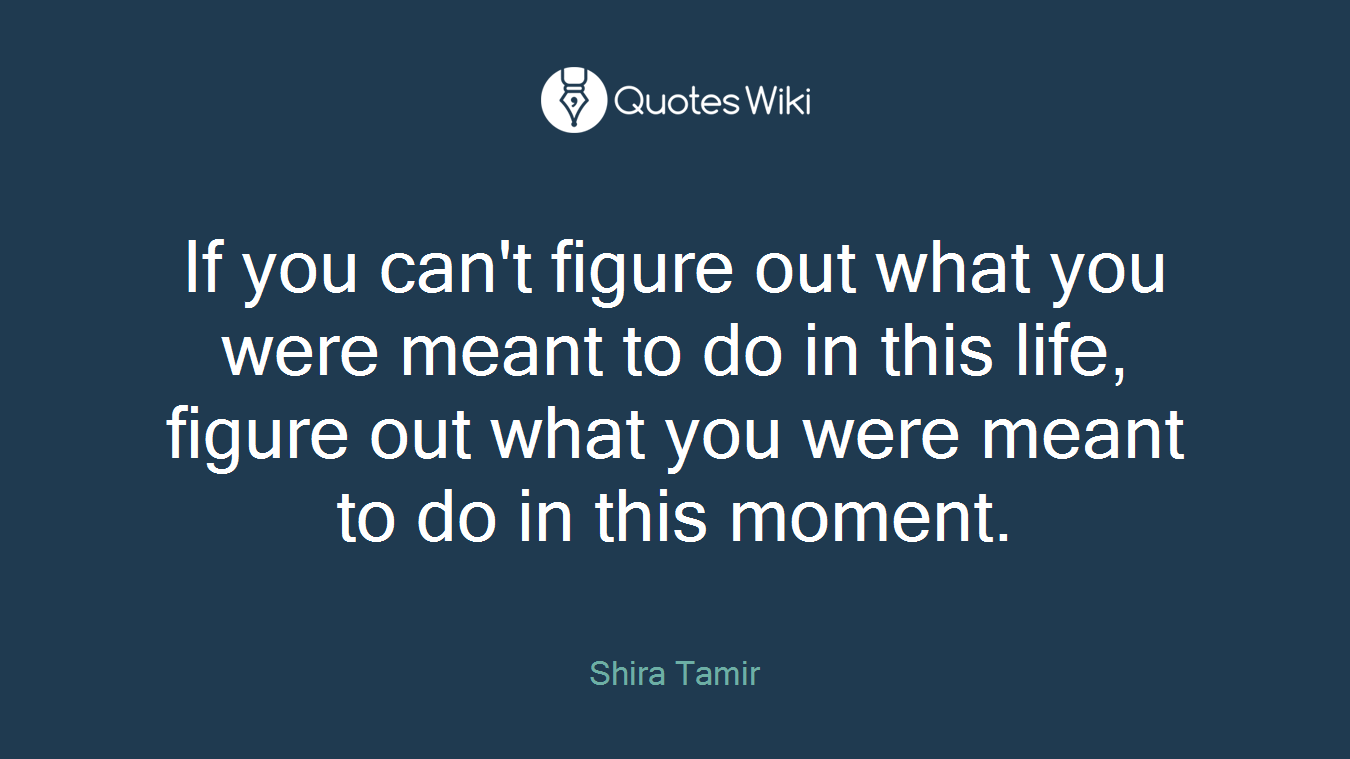 If you can't figure out what you were meant to do in this life, figure out what you were meant to do in this moment.