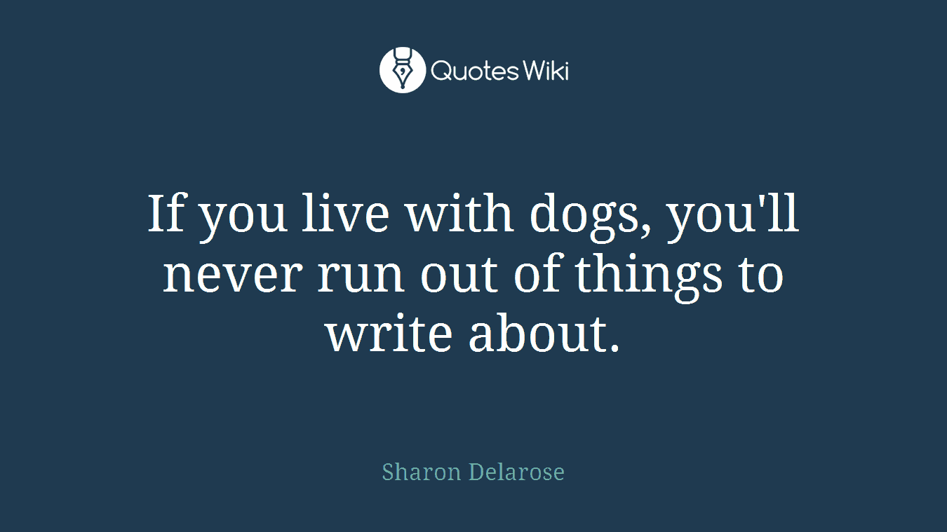 If you live with dogs, you'll never run out of things to write about.