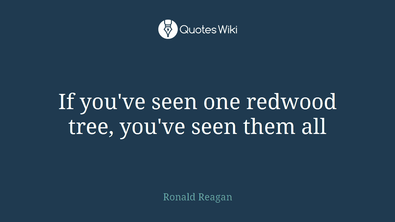 If you've seen one redwood tree, you've seen them all