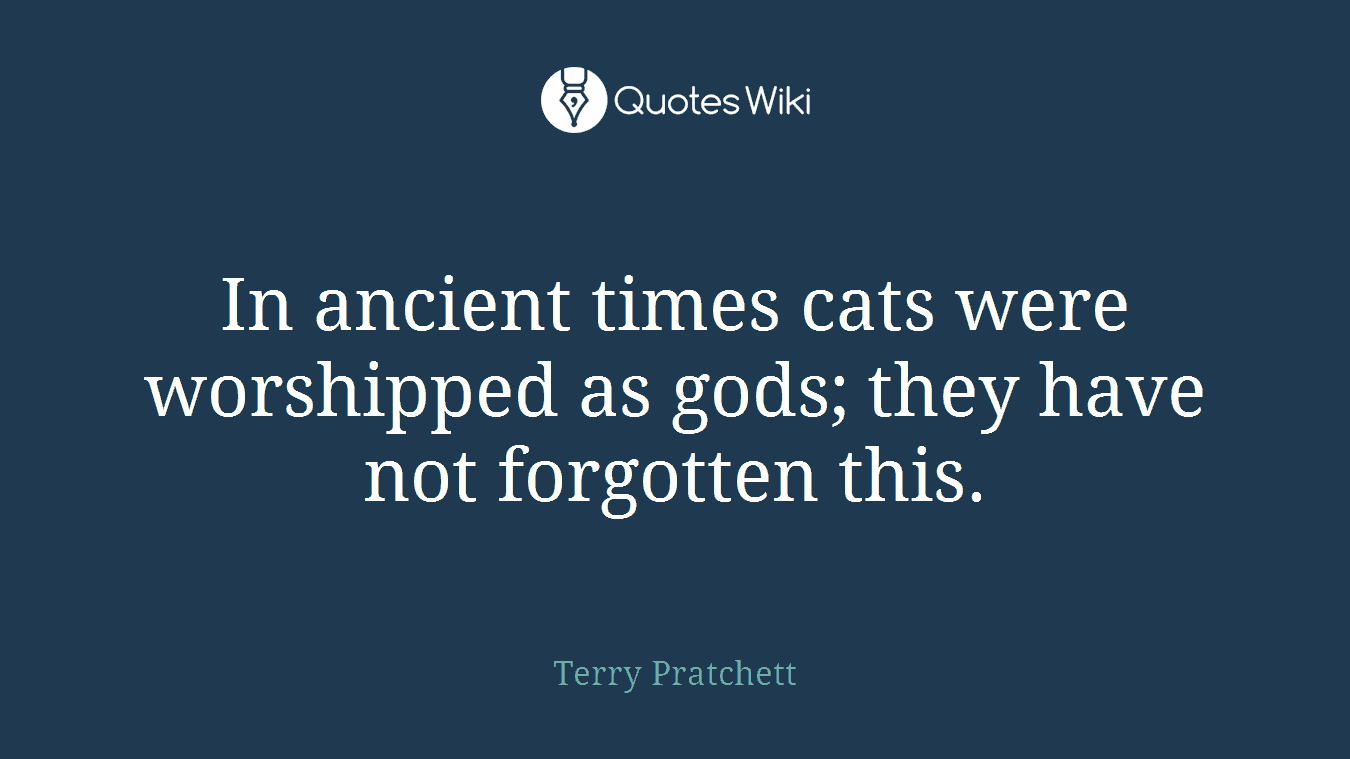 In ancient times cats were worshipped as gods; they have not forgotten this.