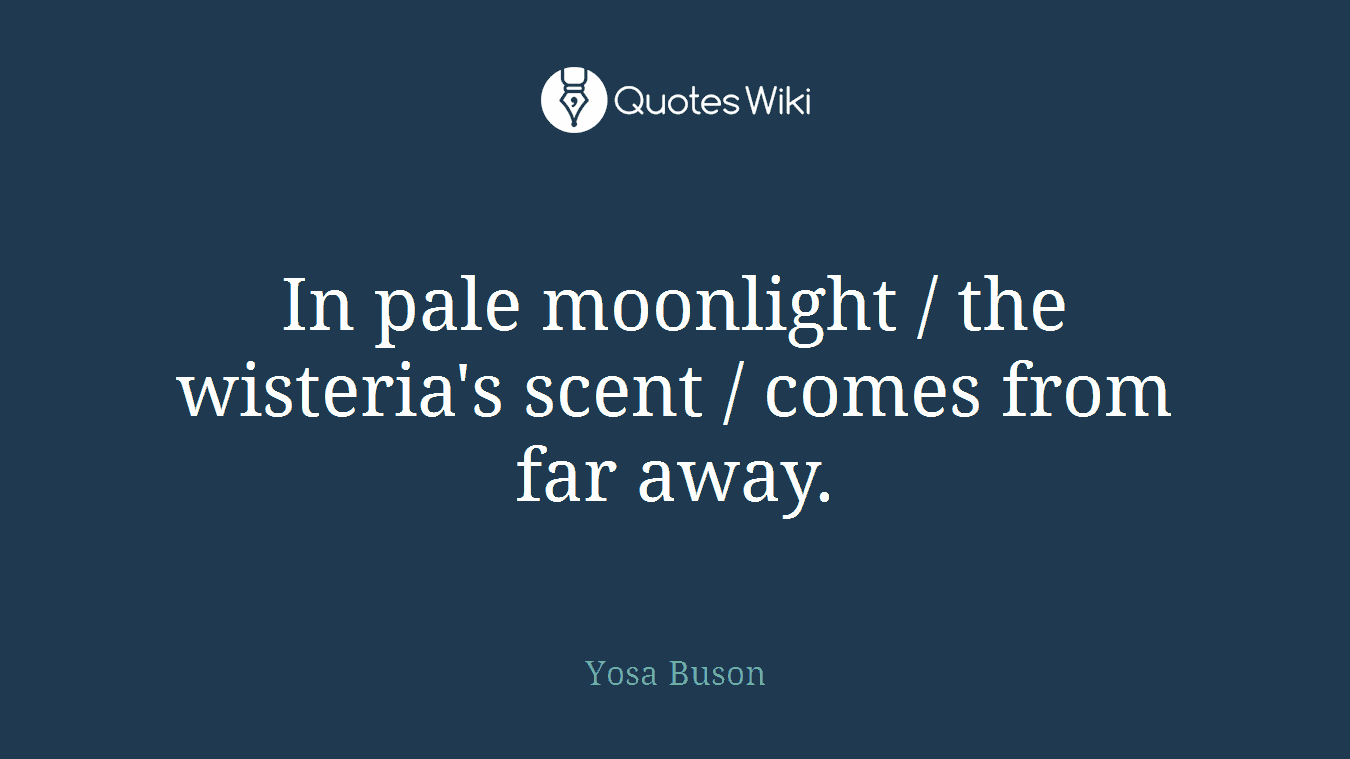 In pale moonlight / the wisteria's scent / comes from far away.