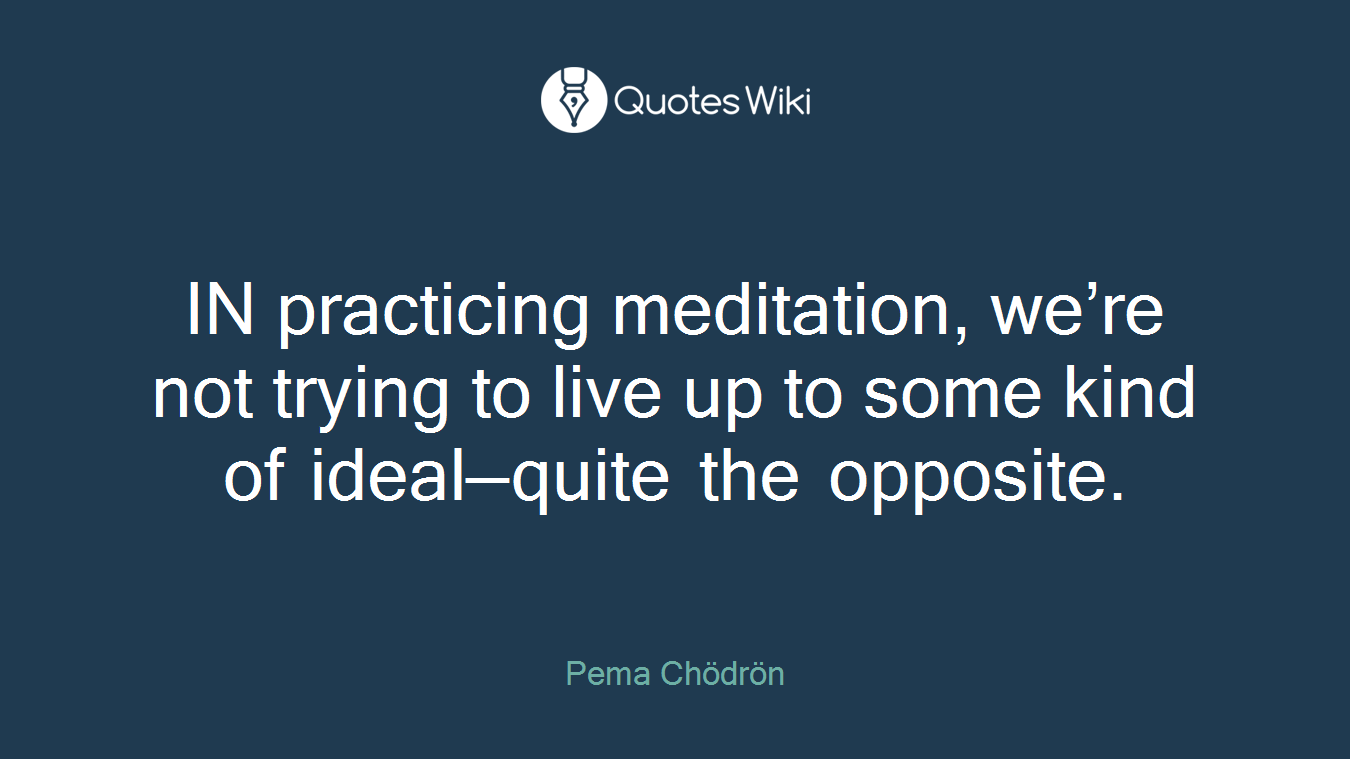 IN practicing meditation, we’re not trying to live up to some kind of ideal—quite the opposite.