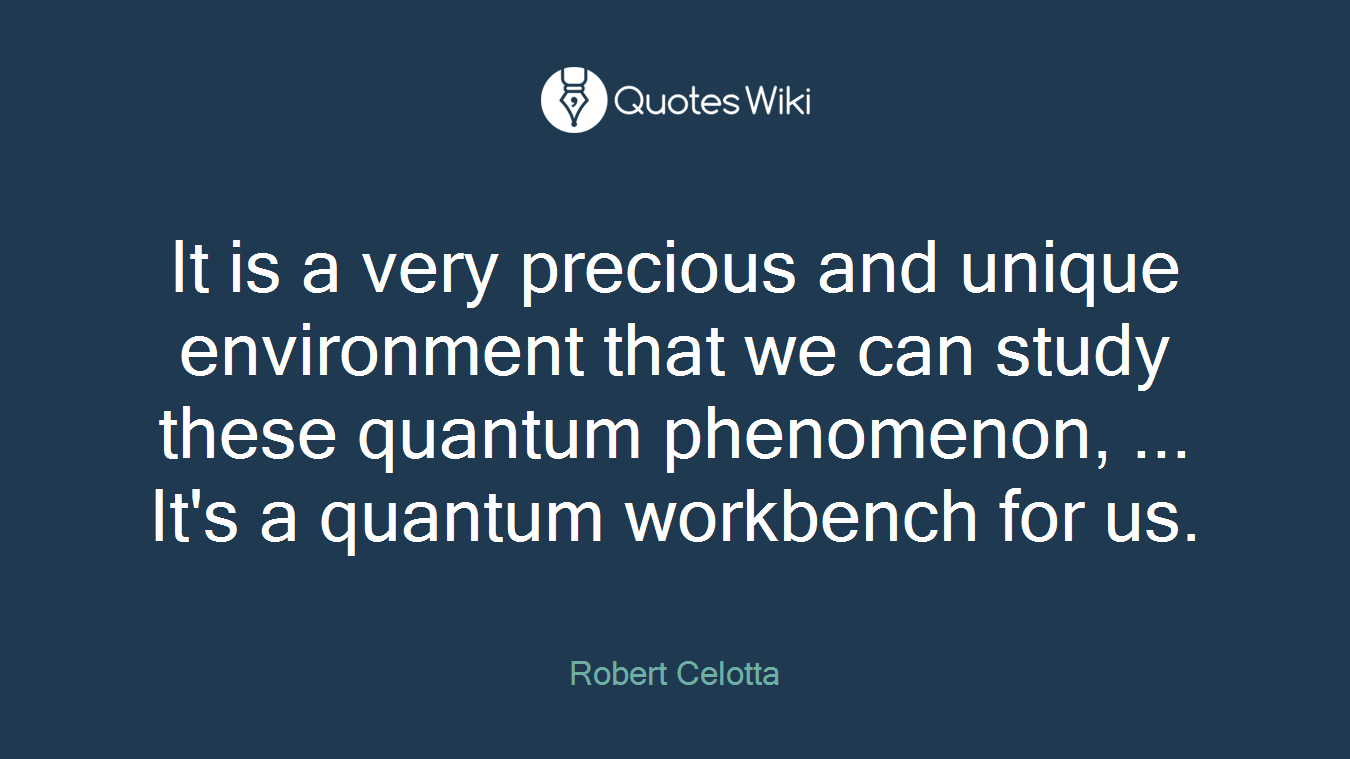 It is a very precious and unique environment that we can study these quantum phenomenon, ... It's a quantum workbench for us.