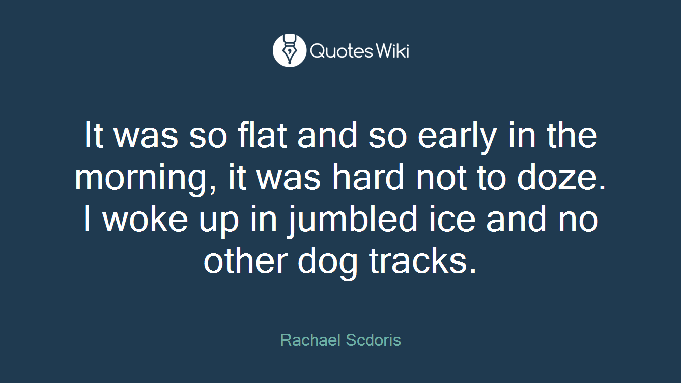 It was so flat and so early in the morning, it was hard not to doze. I woke up in jumbled ice and no other dog tracks.