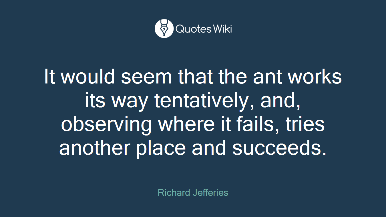 It would seem that the ant works its way tentatively, and, observing where it fails, tries another place and succeeds.