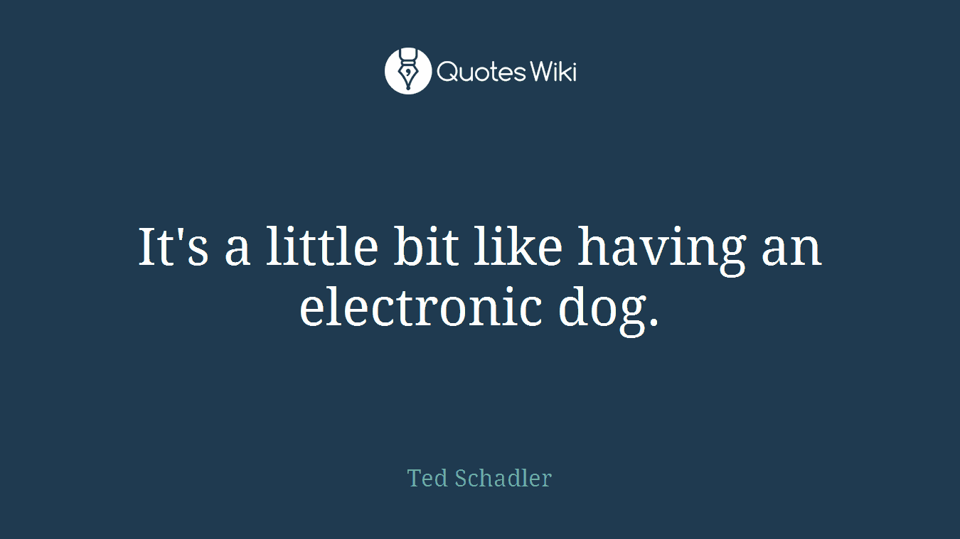It's a little bit like having an electronic dog.