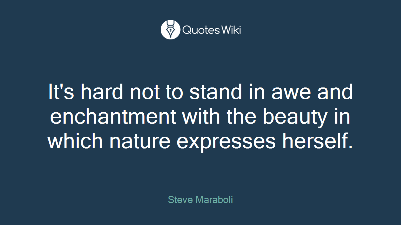 It's hard not to stand in awe and enchantment with the beauty in which nature expresses herself.