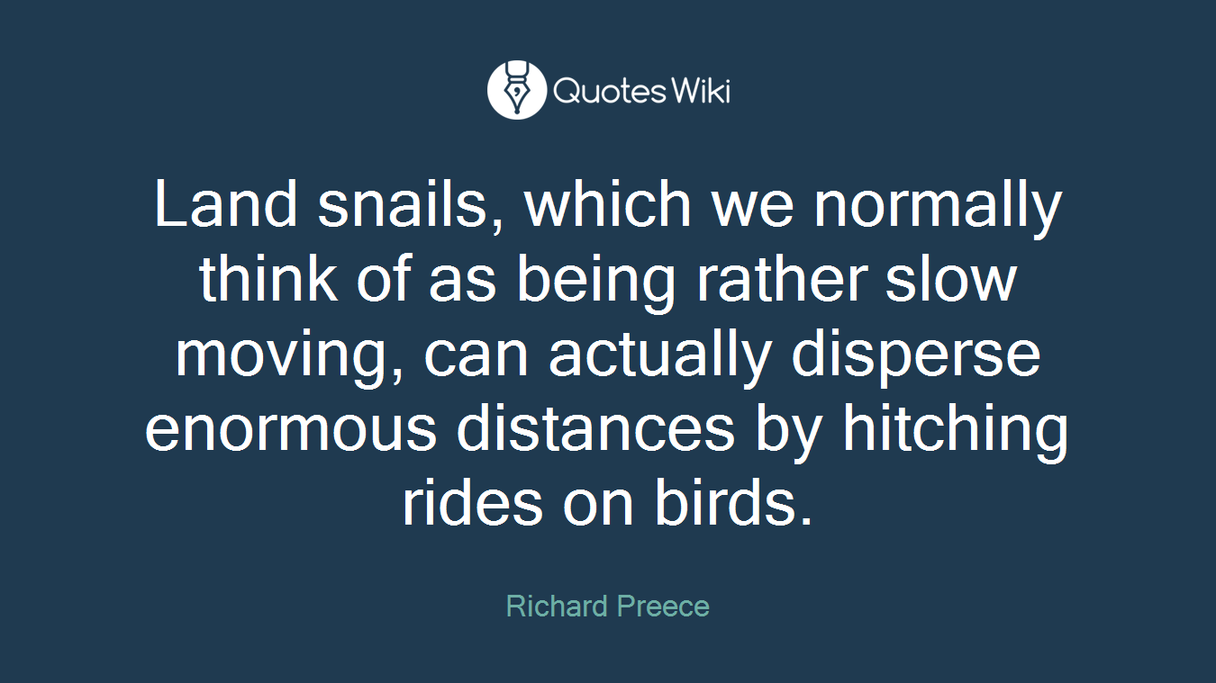 Land snails, which we normally think of as being rather slow moving, can actually disperse enormous distances by hitching rides on birds.