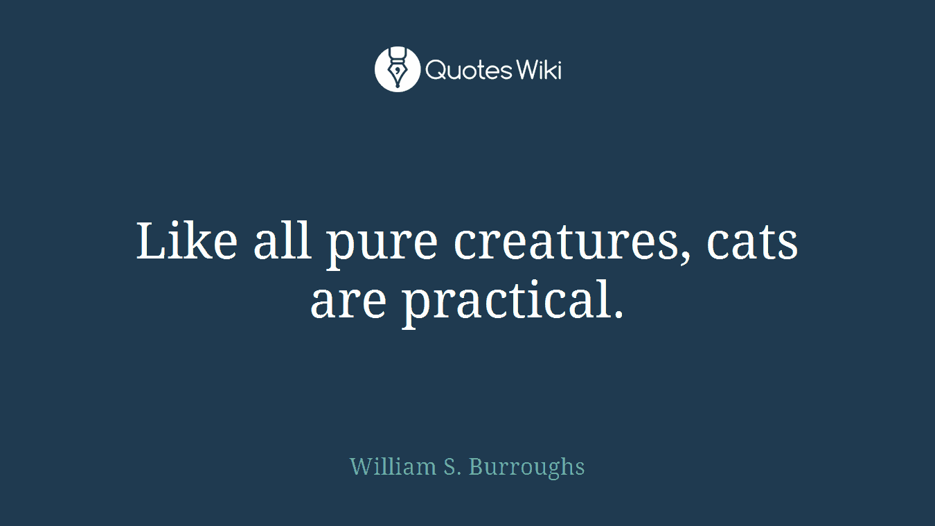 Like all pure creatures, cats are practical.