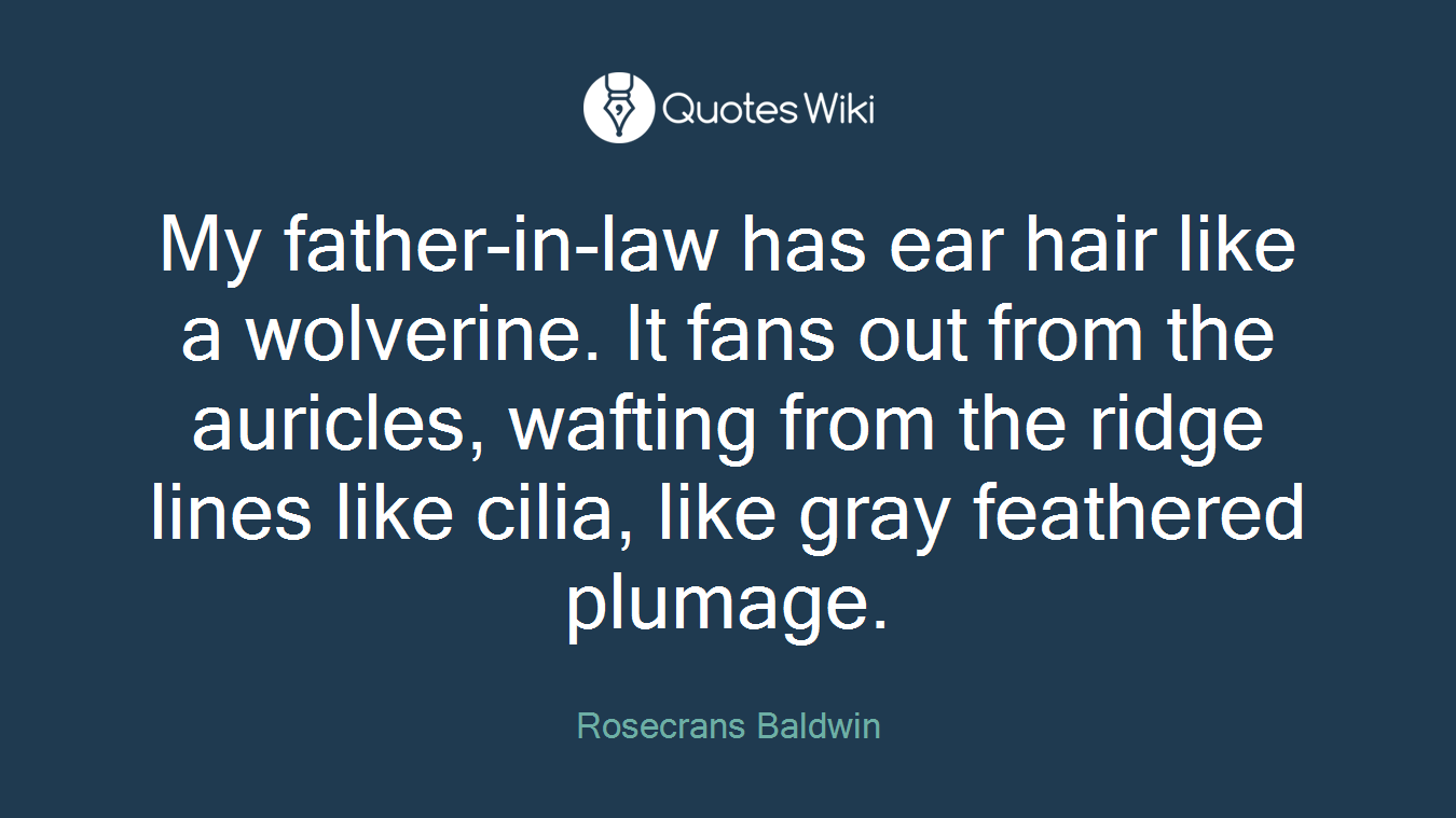 My father-in-law has ear hair like a wolverine. It fans out from the auricles, wafting from the ridge lines like cilia, like gray feathered plumage.