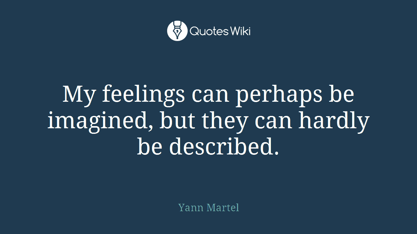 My feelings can perhaps be imagined, but they can hardly be described.