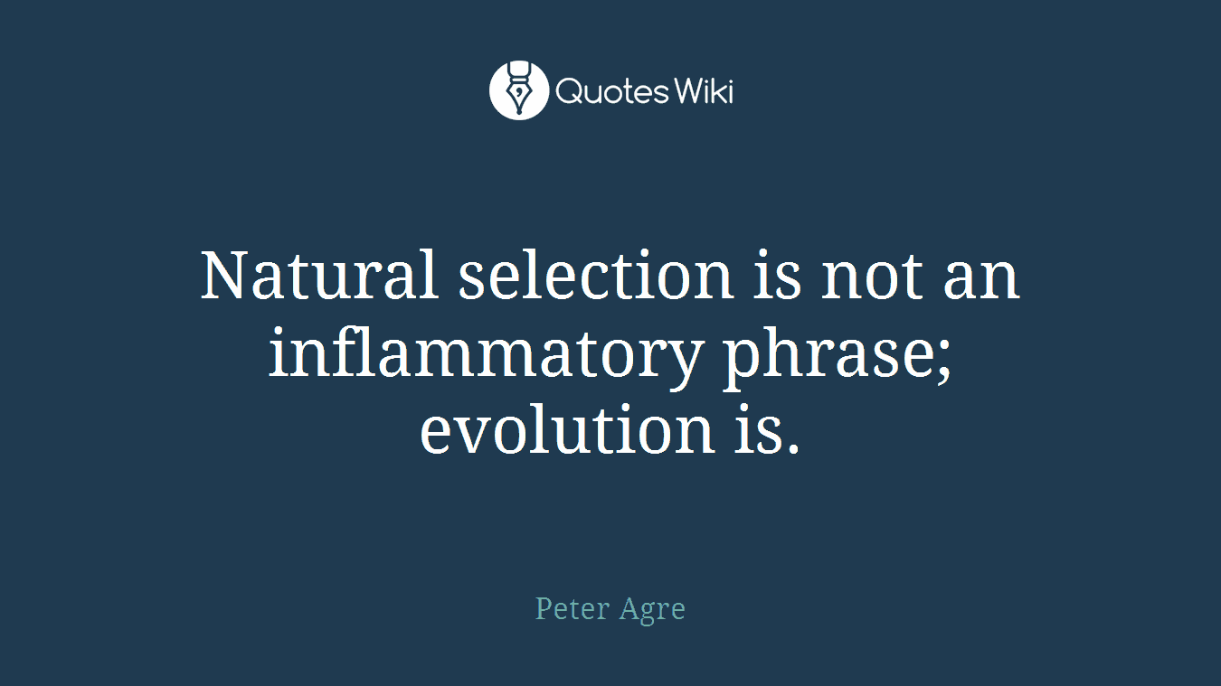 Natural selection is not an inflammatory phrase; evolution is.