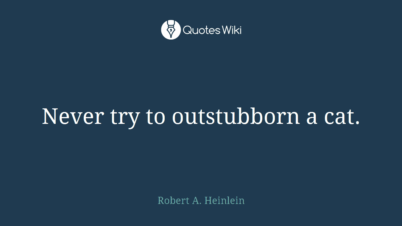 Never try to outstubborn a cat.