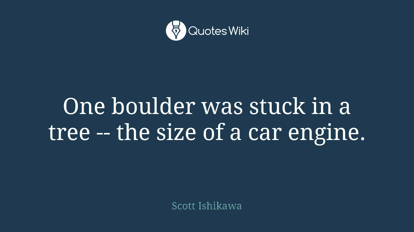 One boulder was stuck in a tree -- the size of a car engine.