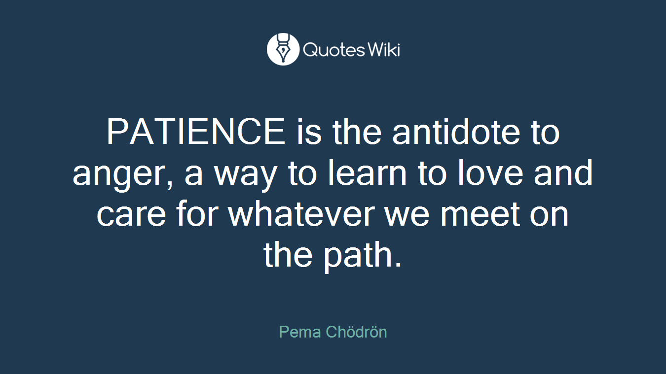 PATIENCE is the antidote to anger, a way to learn to love and care for whatever we meet on the path.
