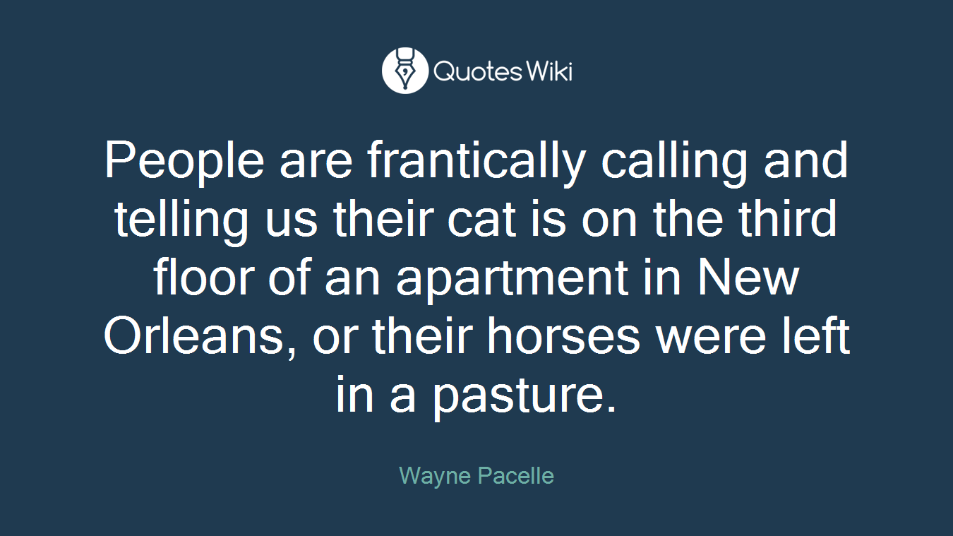 People are frantically calling and telling us their cat is on the third floor of an apartment in New Orleans, or their horses were left in a pasture.