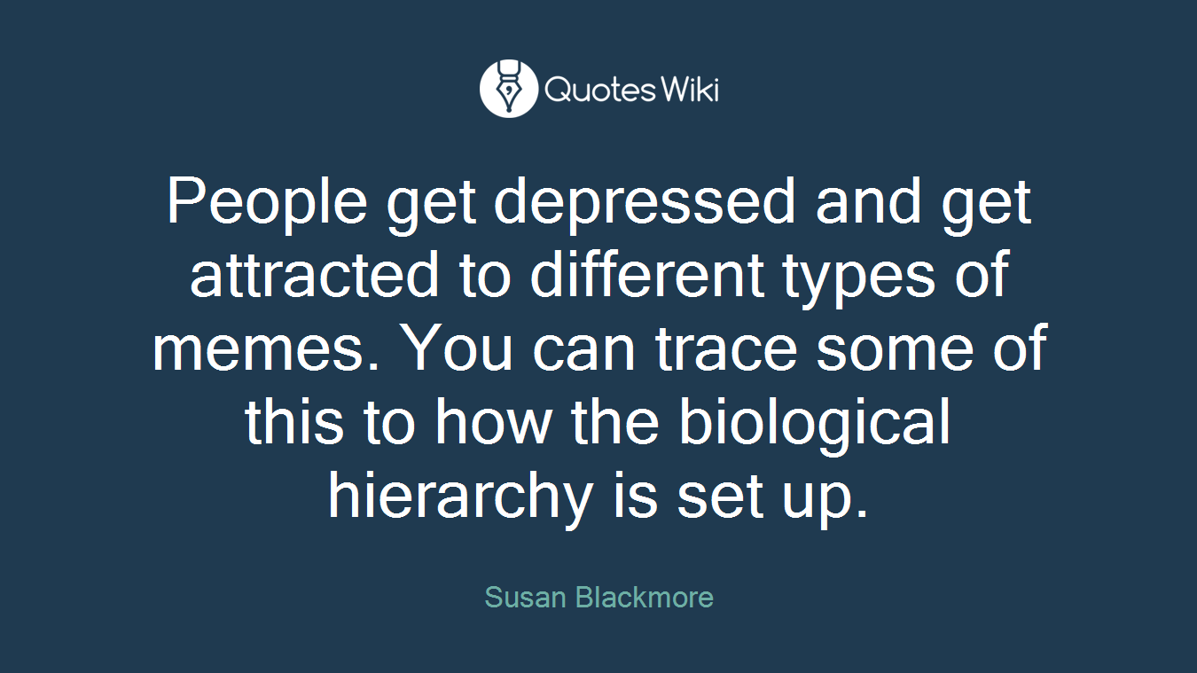 People get depressed and get attracted to different types of memes. You can trace some of this to how the biological hierarchy is set up.