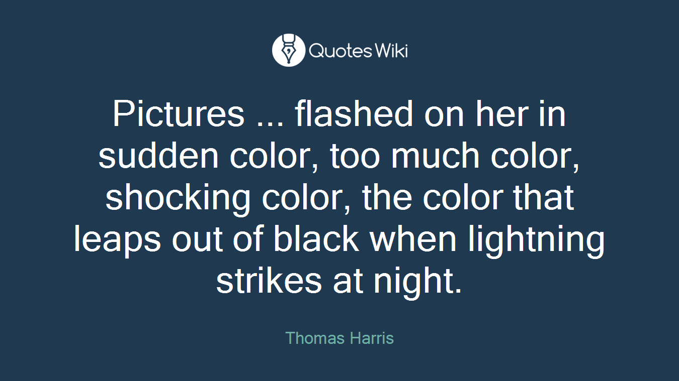 Pictures ... flashed on her in sudden color, too much color, shocking color, the color that leaps out of black when lightning strikes at night.