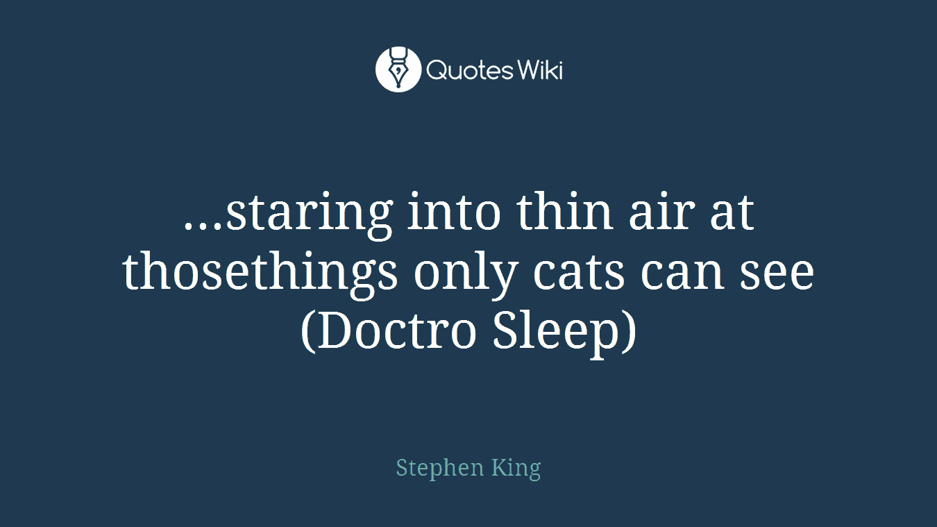 ...staring into thin air at thosethings only cats can see (Doctro Sleep)