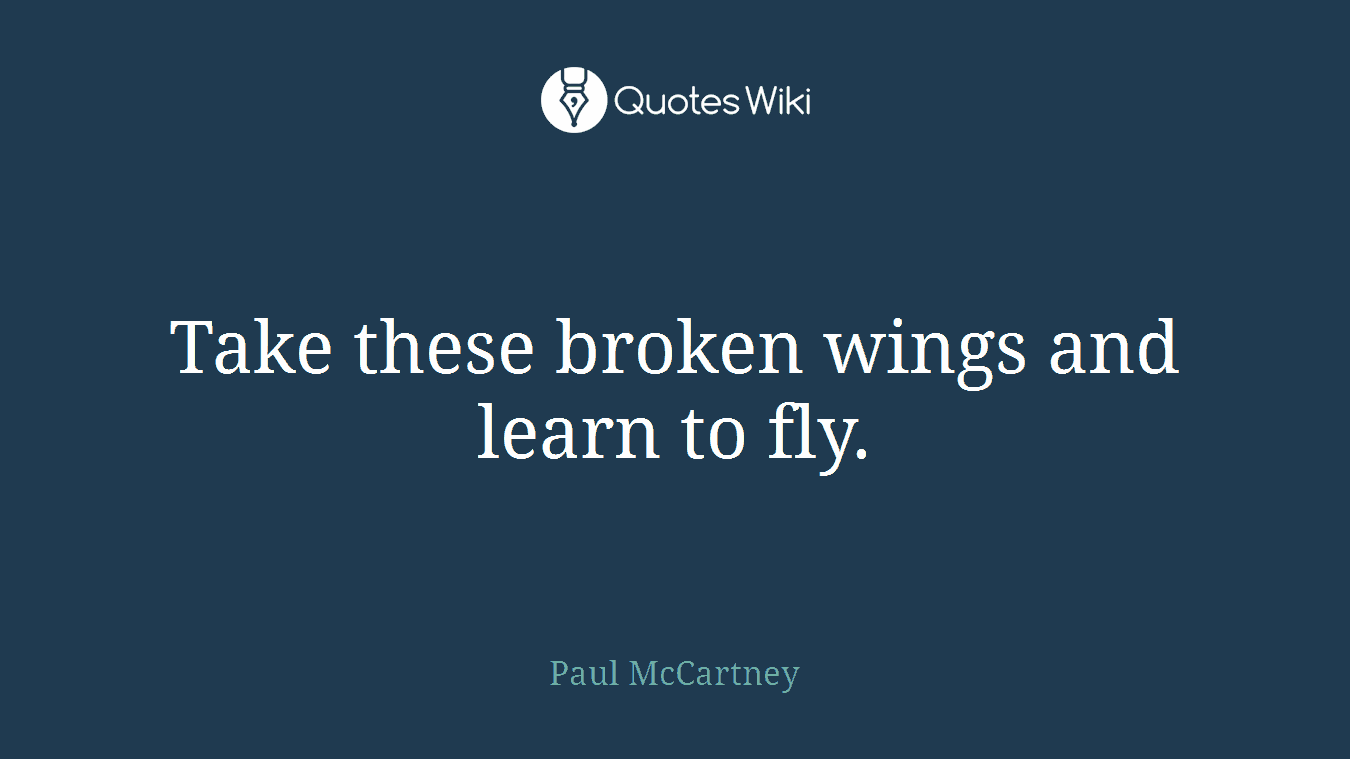 Take these broken wings and learn to fly.