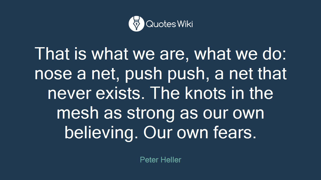 That is what we are, what we do: nose a net, push push, a net that never exists. The knots in the mesh as strong as our own believing. Our own fears.