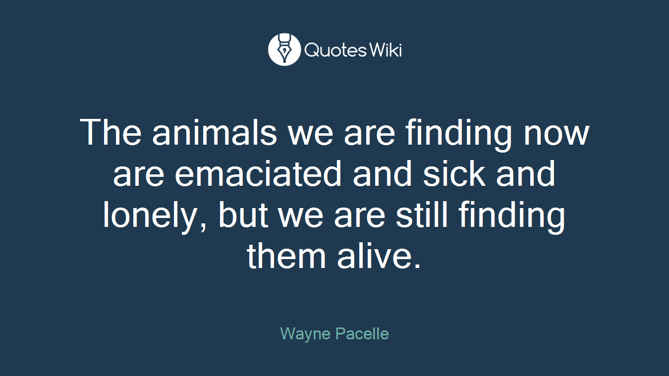 The animals we are finding now are emaciated and sick and lonely, but we are still finding them alive.
