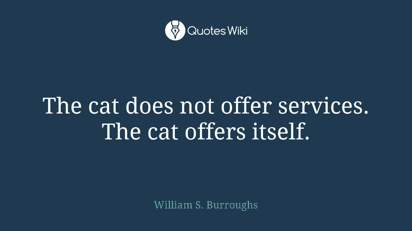 The cat does not offer services. The cat offers itself.