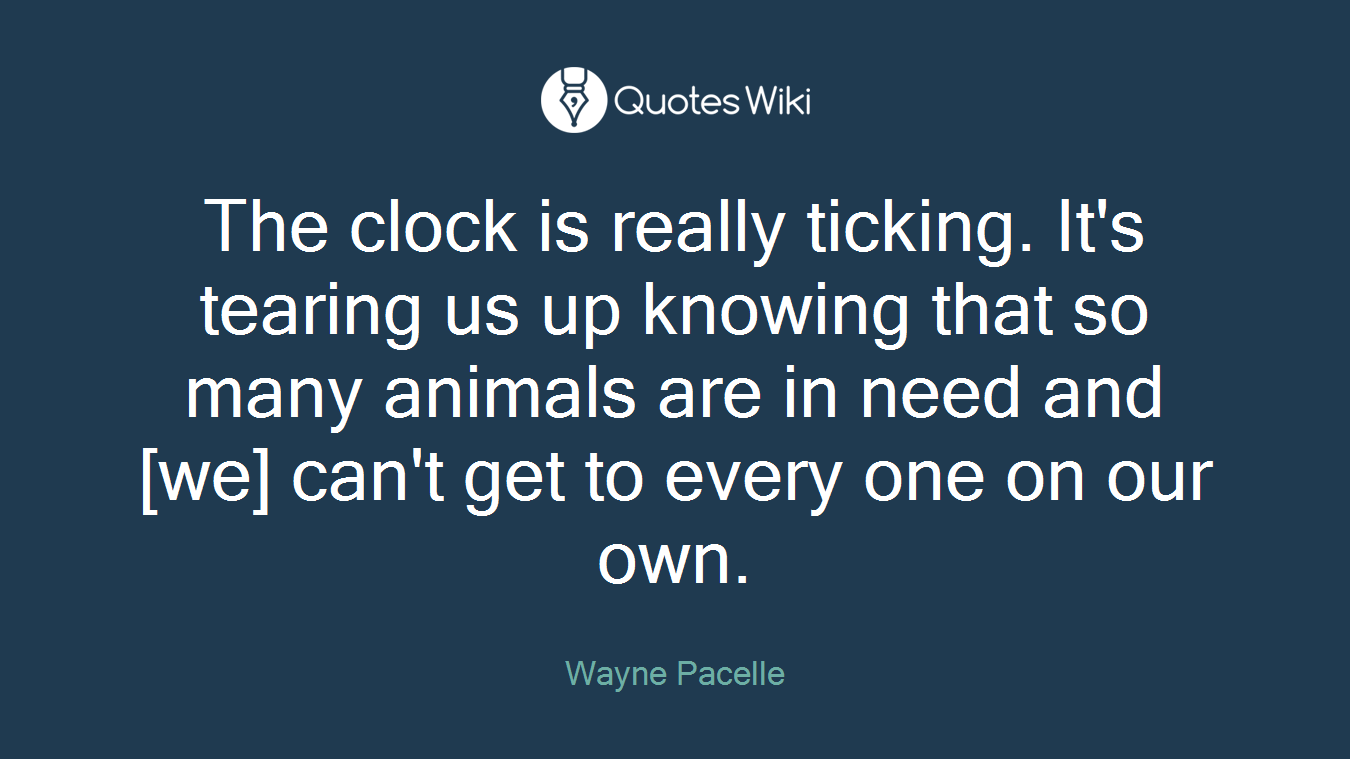 The clock is really ticking. It's tearing us up knowing that so many animals are in need and [we] can't get to every one on our own.