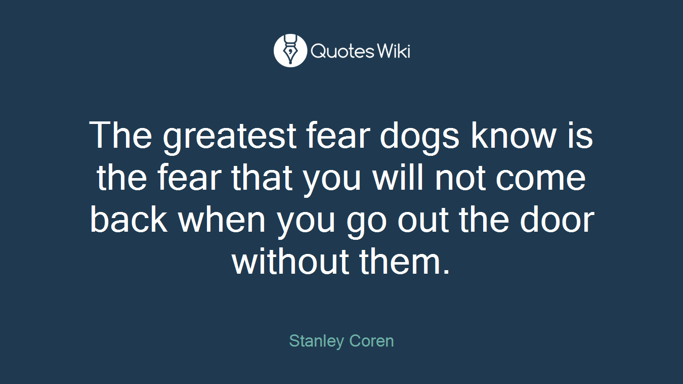 The greatest fear dogs know is the fear that you will not come back when you go out the door without them.