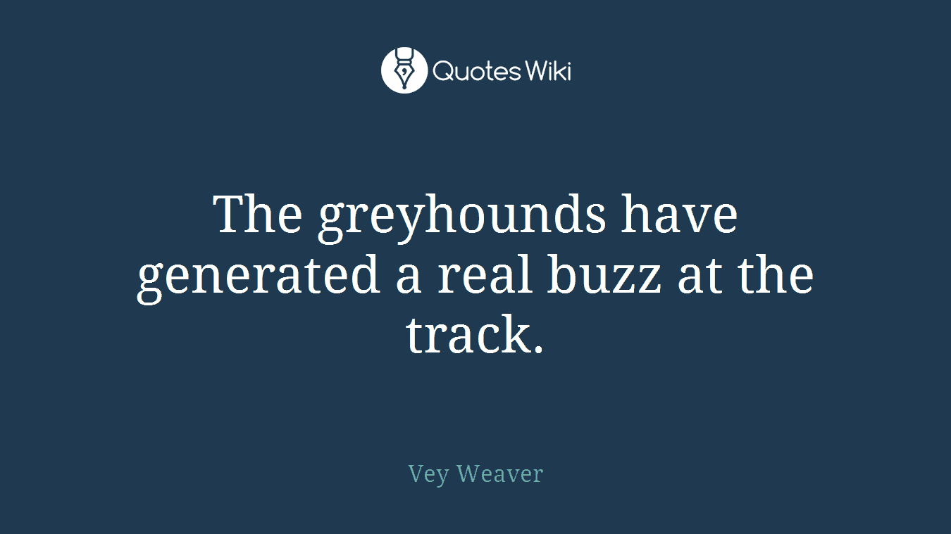 The greyhounds have generated a real buzz at the track.
