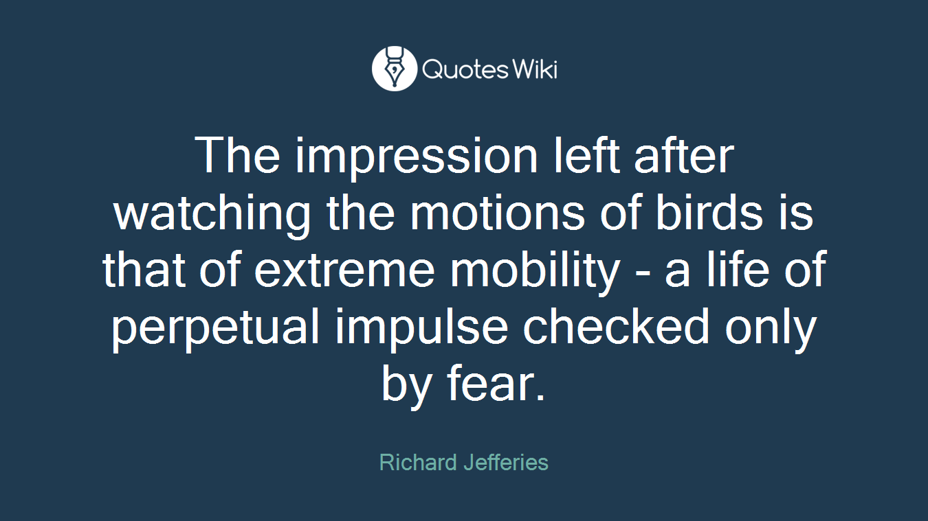 The impression left after watching the motions of birds is that of extreme mobility - a life of perpetual impulse checked only by fear.