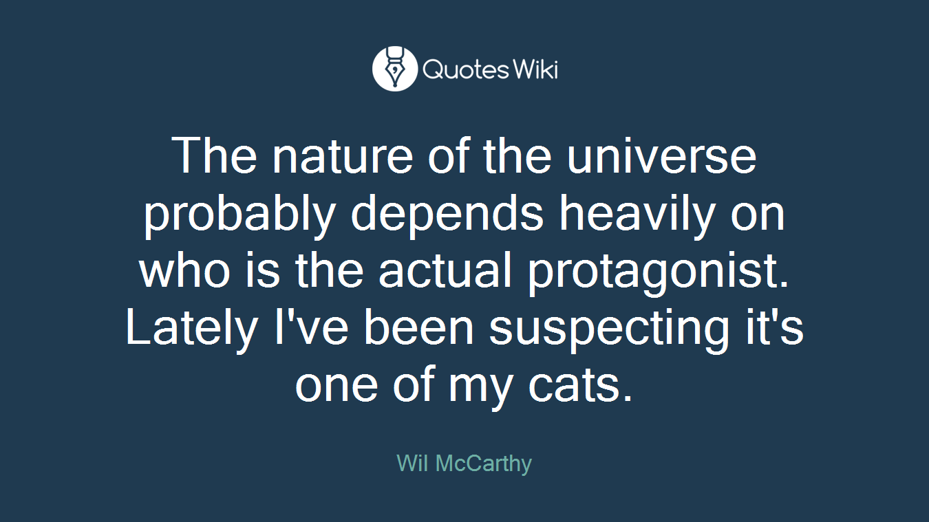 The nature of the universe probably depends heavily on who is the actual protagonist. Lately I've been suspecting it's one of my cats.